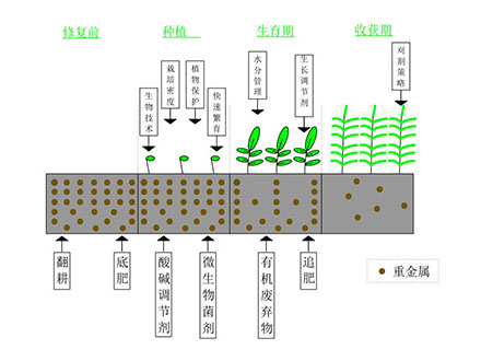 植物修复技术