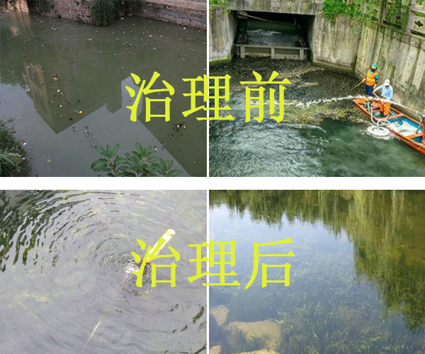 河道生态修复工程(图1)